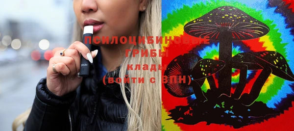 хмурый Протвино